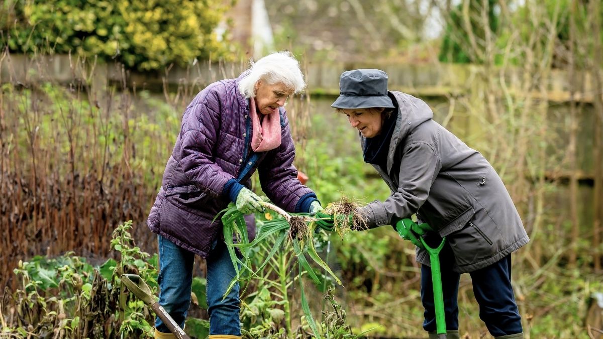 Jubilados extranjeros en Cuenca